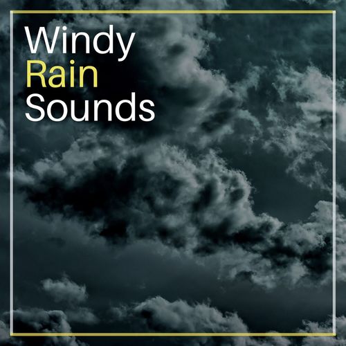 Windy Rain Sounds: White Noise Ambient for Anxiety & Insomnia_poster_image