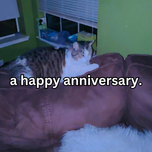 a happy anniversary._poster_image