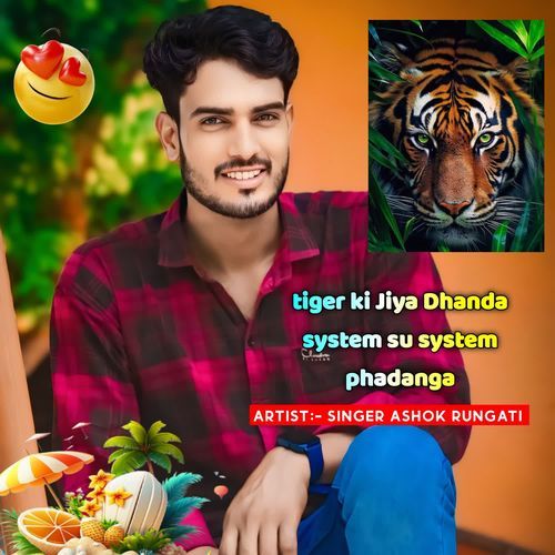 tiger ki Jiya Dhanda system su system phadanga