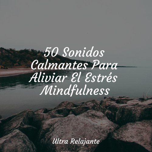 50 Sonidos Calmantes Para Aliviar El Estrés Mindfulness