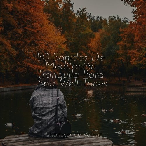 50 Sonidos De Meditación Tranquila Para Spa Well Tones