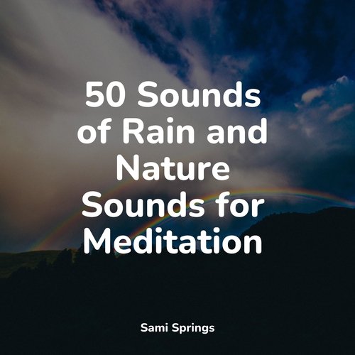 50 Sounds of Rain and Nature Sounds for Meditation