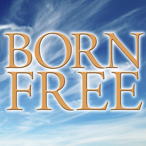 Born Free - A Tribute to Kid Rock