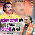 Brajesh Shastri Ki Duniya Deewani Ho Gyi