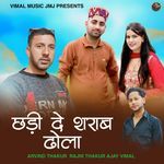 CHHADI DE SHARAB DHOLA artwork