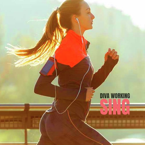 Diva Working_poster_image