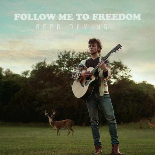 Follow Me to Freedom_poster_image