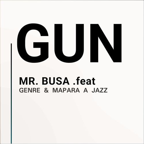 Gun