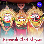 Jagannath Chari Akhyara