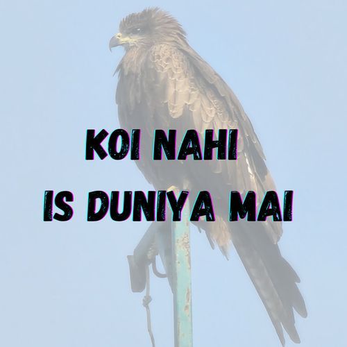 KOI NAHI IS DUNIYA MAI