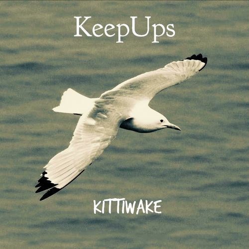 Kittiwake cover art