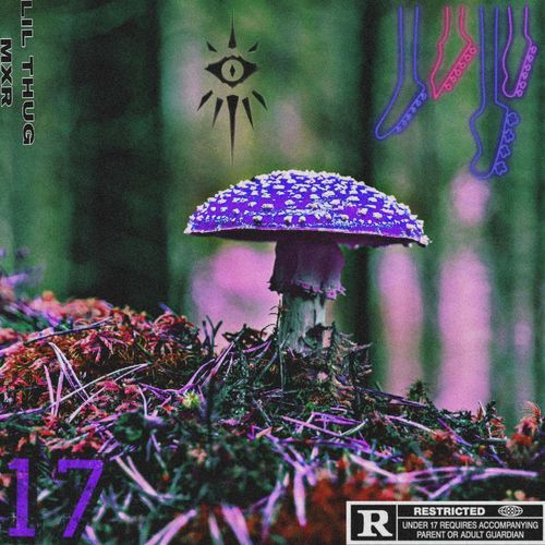 LIL MX ( MY TUNE )
