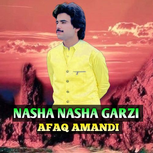 NASHA NASHA GARZI