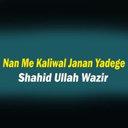 Nan Me Kaliwal Janan Yadege-B1AiW0NWTmI