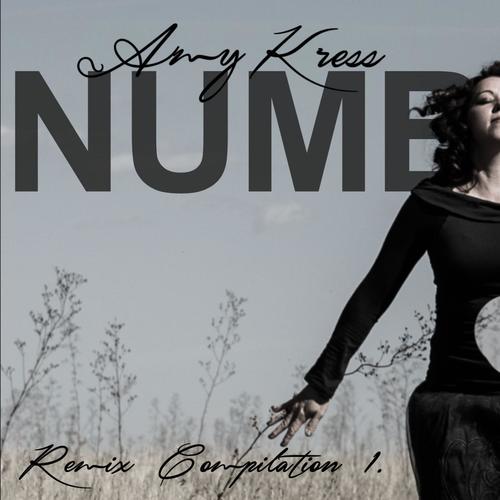Numb (Anye Remix)