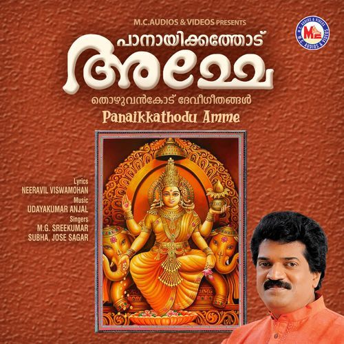 Panaikkathodu amme