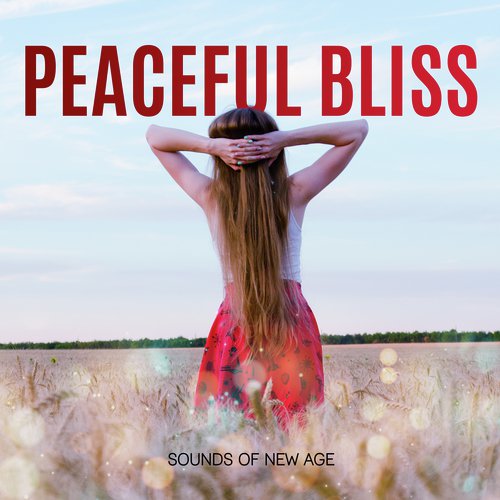 Calming Sounds cover art
