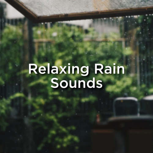 ASMR Rain Sounds cover art