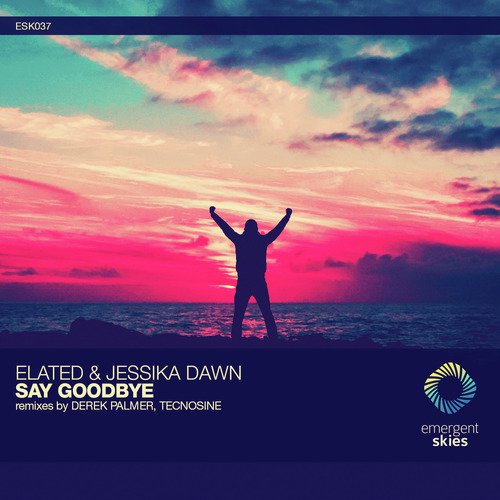 Say Goodbye_poster_image