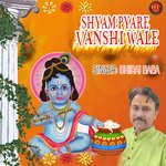 Shyam pyare vanshi wale (maghi song)