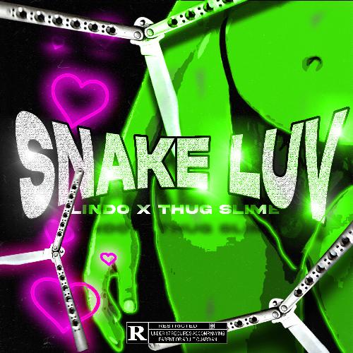 Snake LUV_poster_image