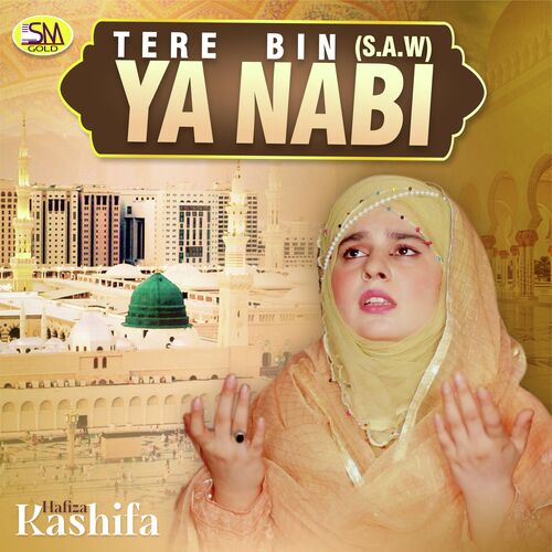 Tere Bin Ya Nabi