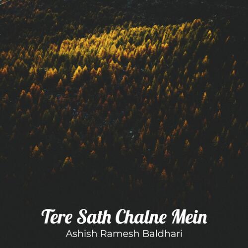 Tere Sath Chalne Mein