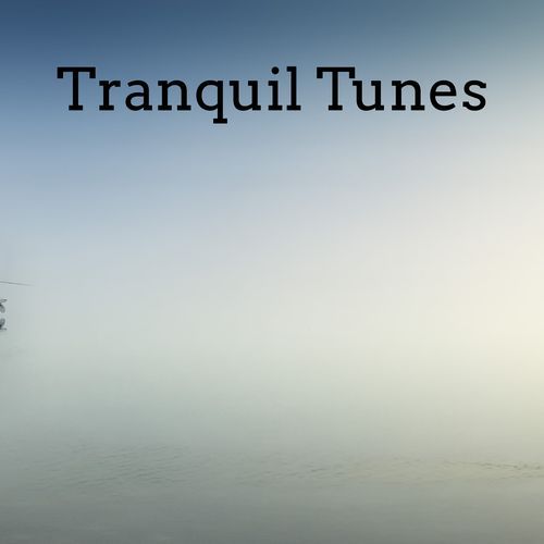 Euphonic Serenity cover art