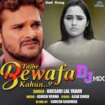 Tujhe Bewafa Kahun Dj Mix