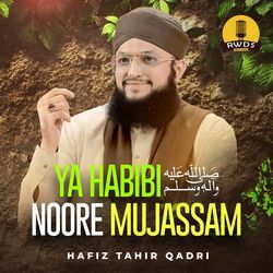 Ya Habibi Noore Mujassam-PgVYaRJWVEA