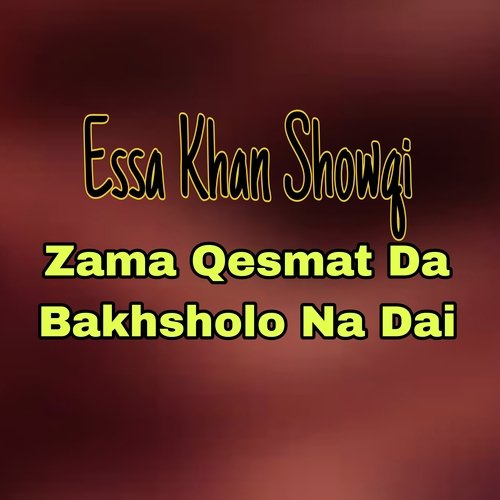 Zama Qesmat Da Bakhsholo Na Dai