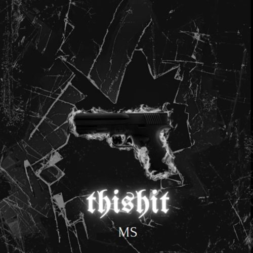 thiSHIT.