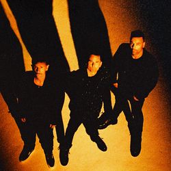 Muse profile photo
