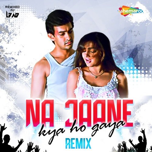 Na Jaane Kya Ho Gaya - Remix
