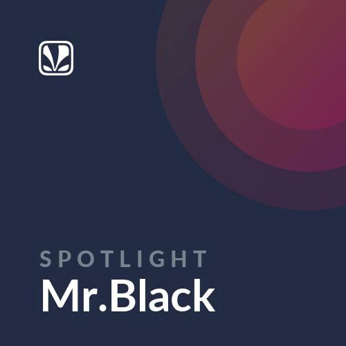 Spotlight - Mr.Black