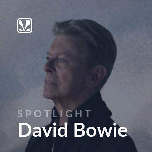 Spotlight - David Bowie