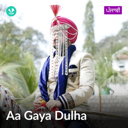 Aa Gaya Dulha