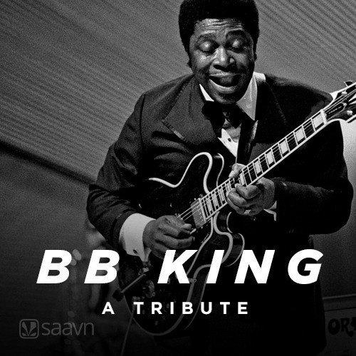 B.B. King - A Tribute