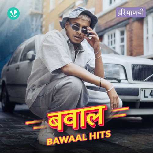 Bawaal Hits