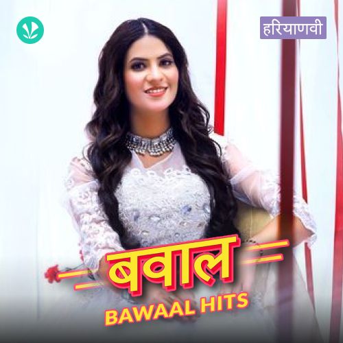 Bawaal Hits_poster_image