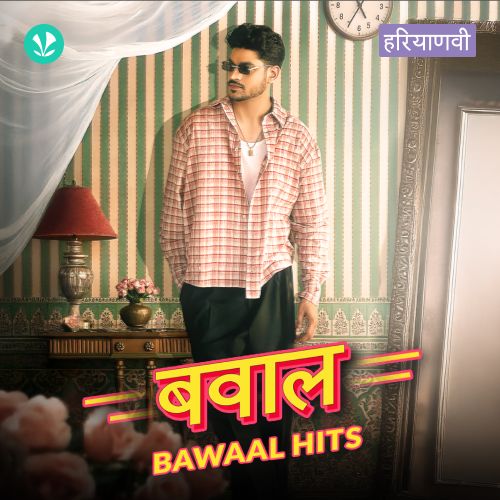 Bawaal Hits
