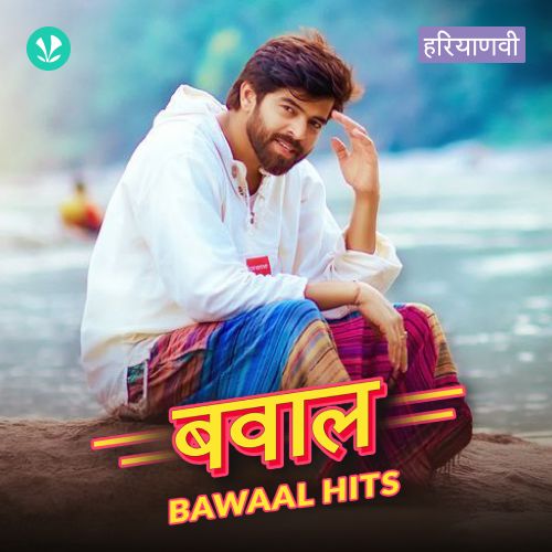 Bawaal Hits
