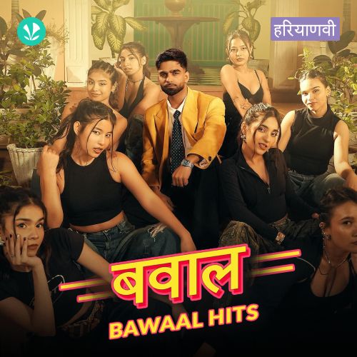 Bawaal Hits