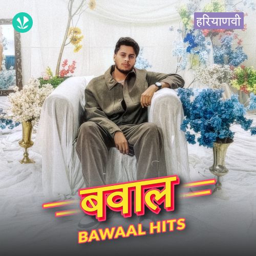 Bawaal Hits