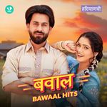 Bawaal Hits
