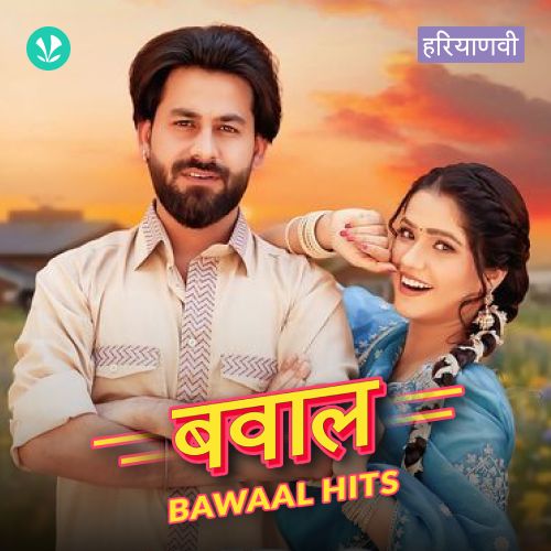 Bawaal Hits