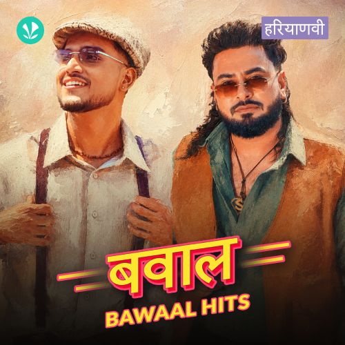 Bawaal Hits