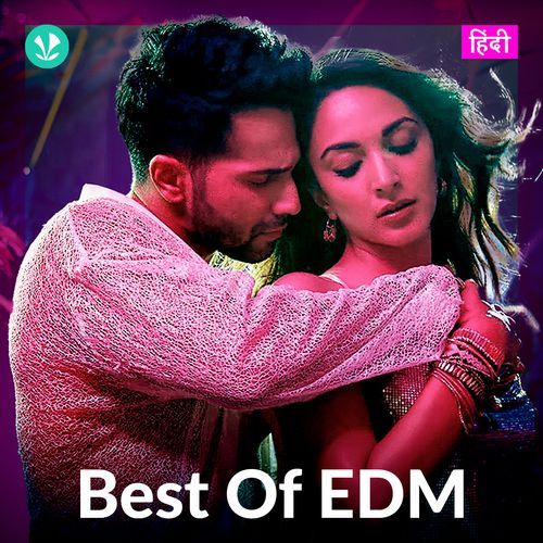Best Of EDM - Hindi