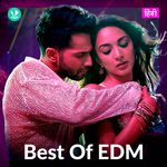 Best Of EDM - Hindi Songs