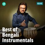 Best Of Bengali Instrumentals